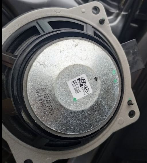 basak v prednych dverach - zadok.JPG