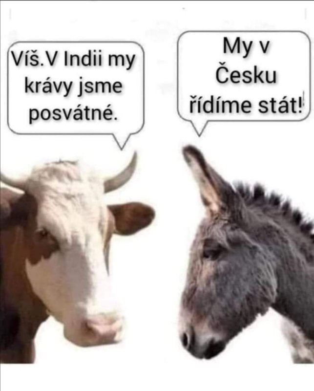 FB_IMG_1649346400251.jpg