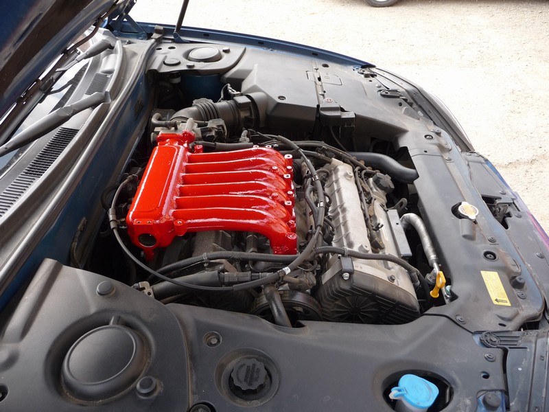 P1000550.JPG
