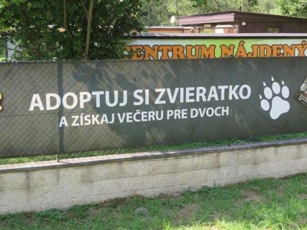 apdoptuj_si_zvieratko.jpg