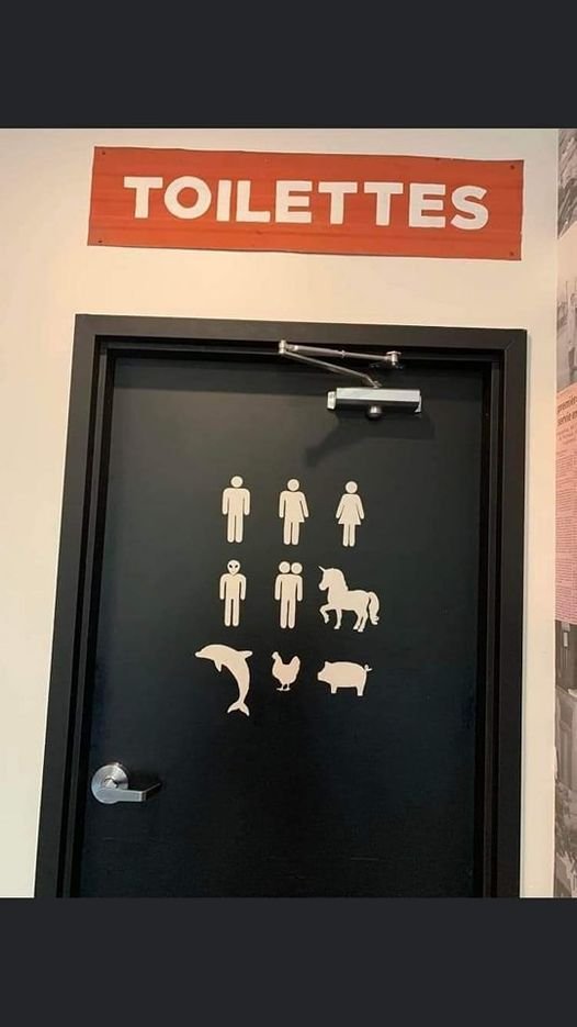 Gender WC.jpg