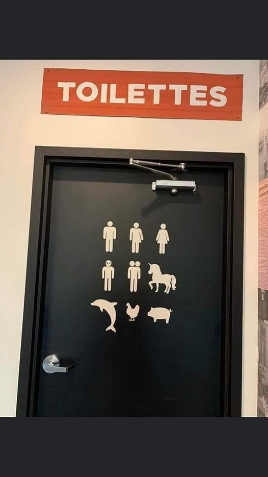 Gender WC.jpg
