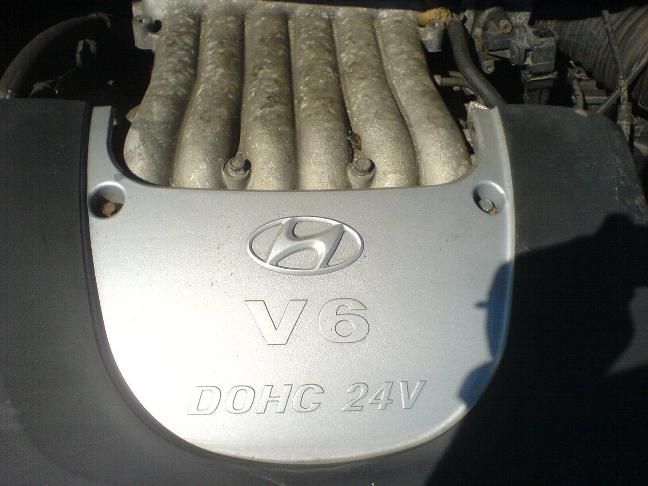 6a.jpg