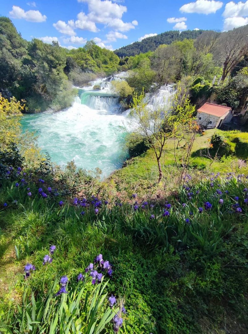 NP Krka