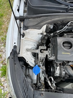 IMG_9947.jpeg