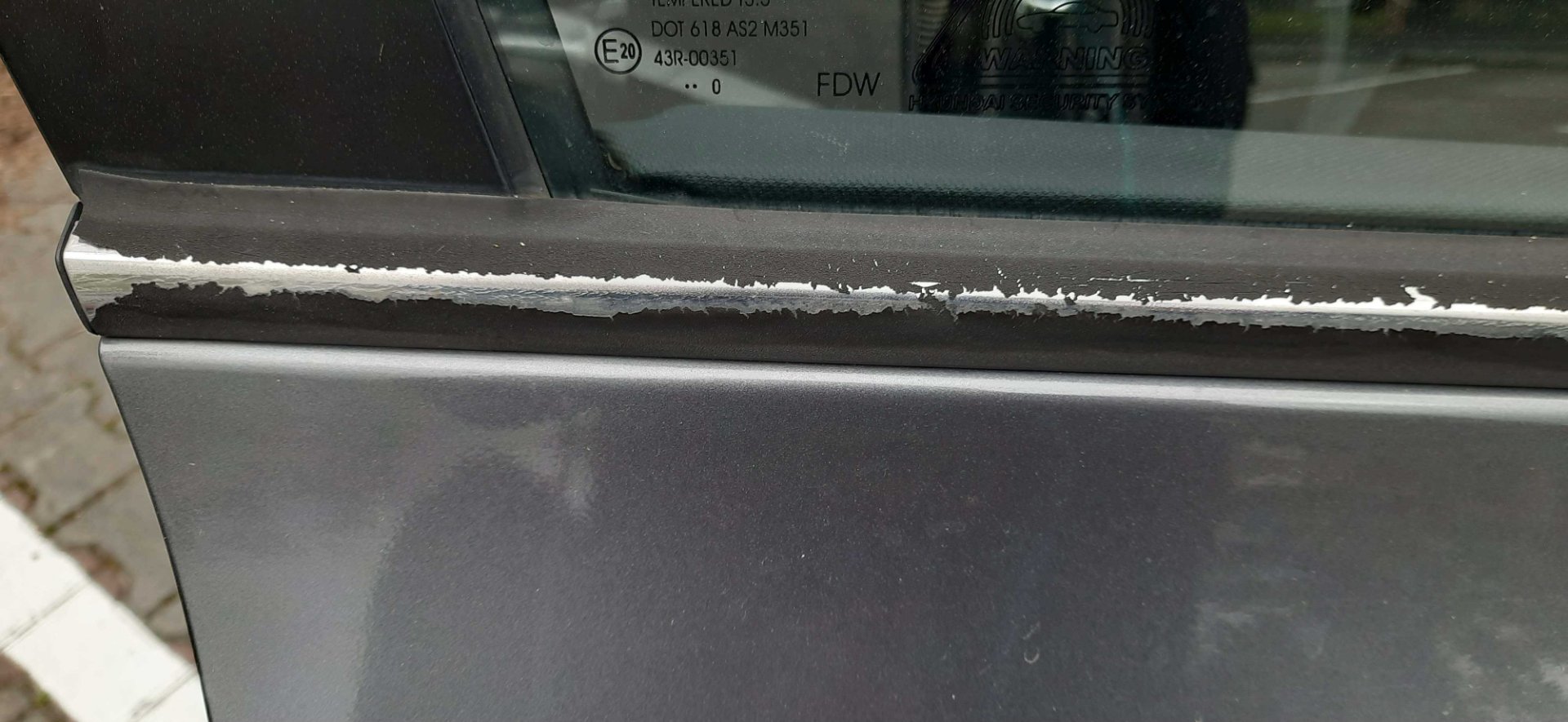 20250414_165246.jpg