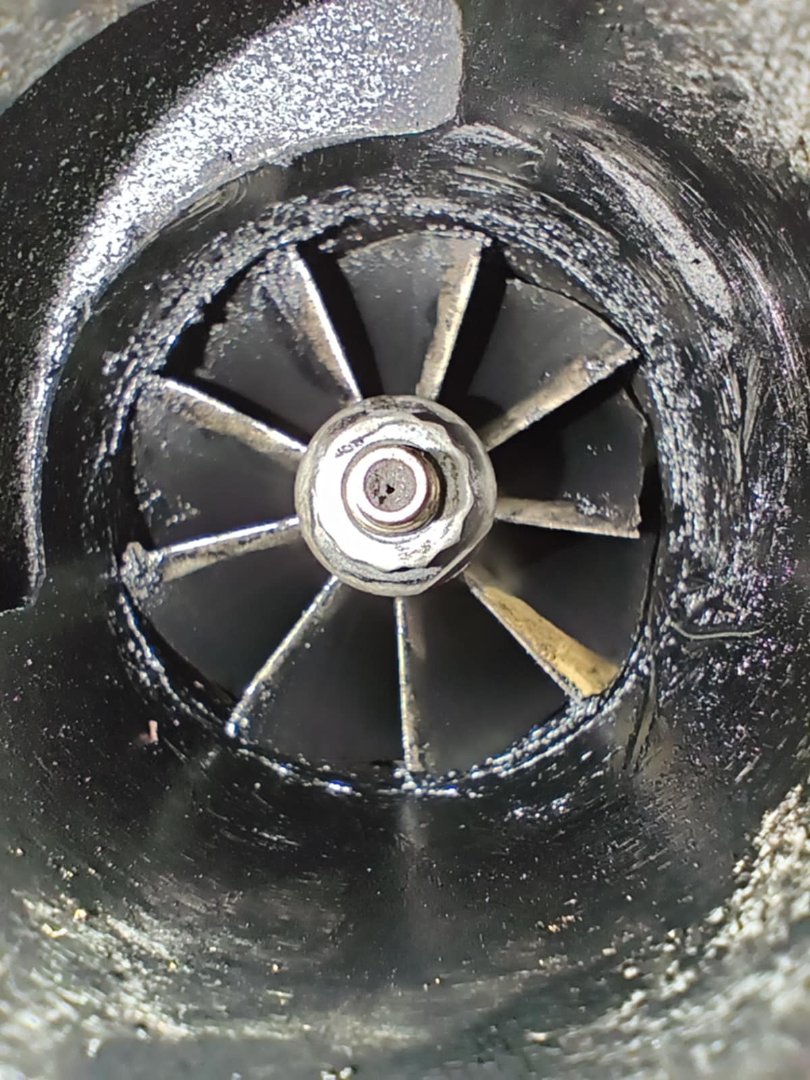 984ddd24-aec4-4074-b357-fc6d22f343c3.jpg