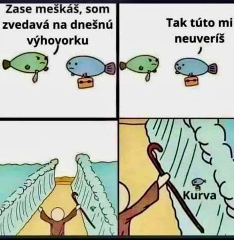 ryby.jpg
