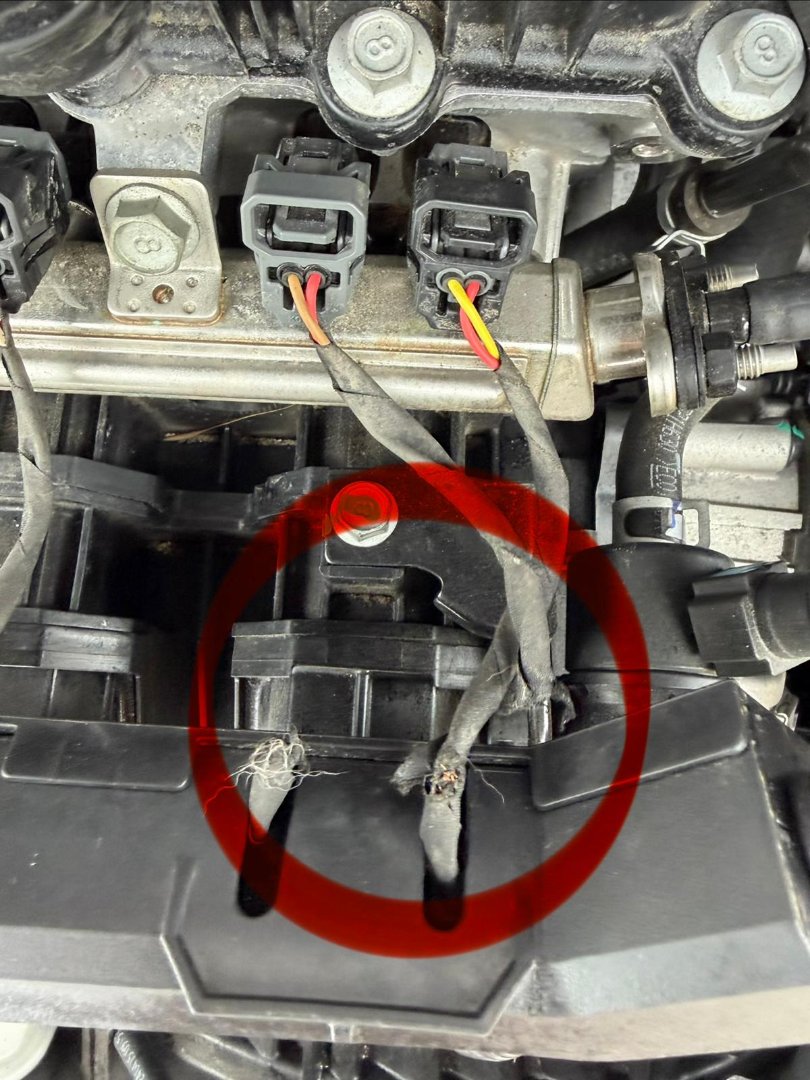 WhatsApp Image 2026-02-27 at 09.25.49.jpeg