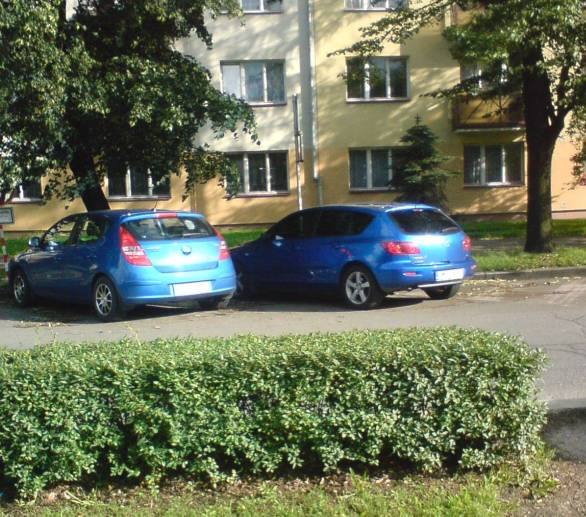 DSC00050.JPG