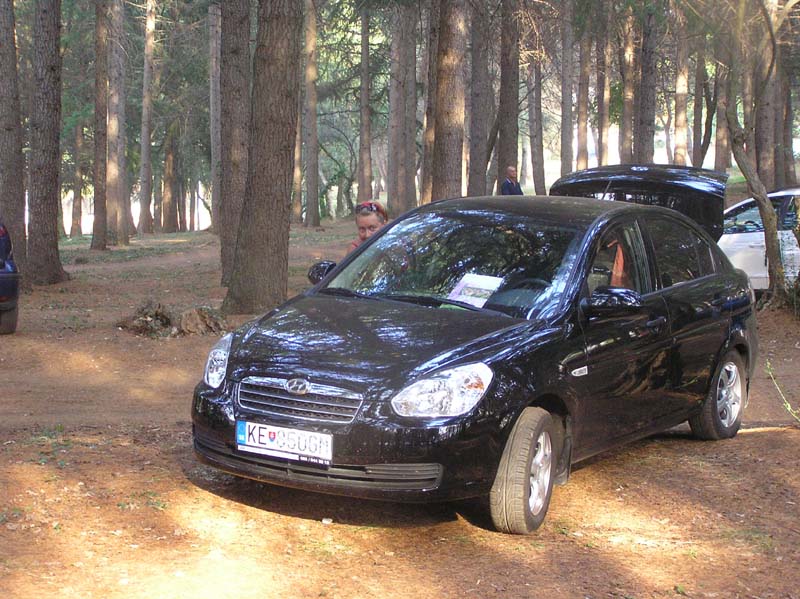 Parking_borovice.jpg