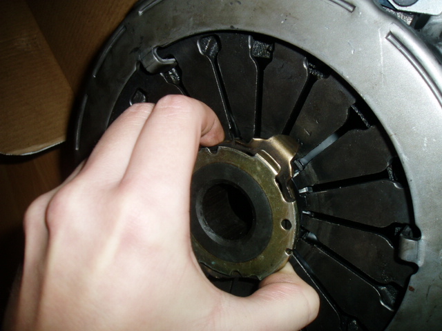 P1010242.JPG