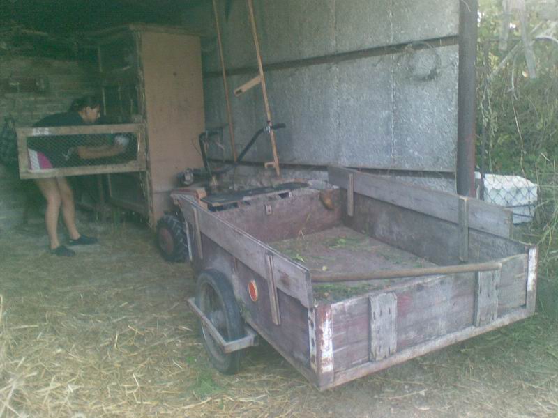 08092009(004).jpg