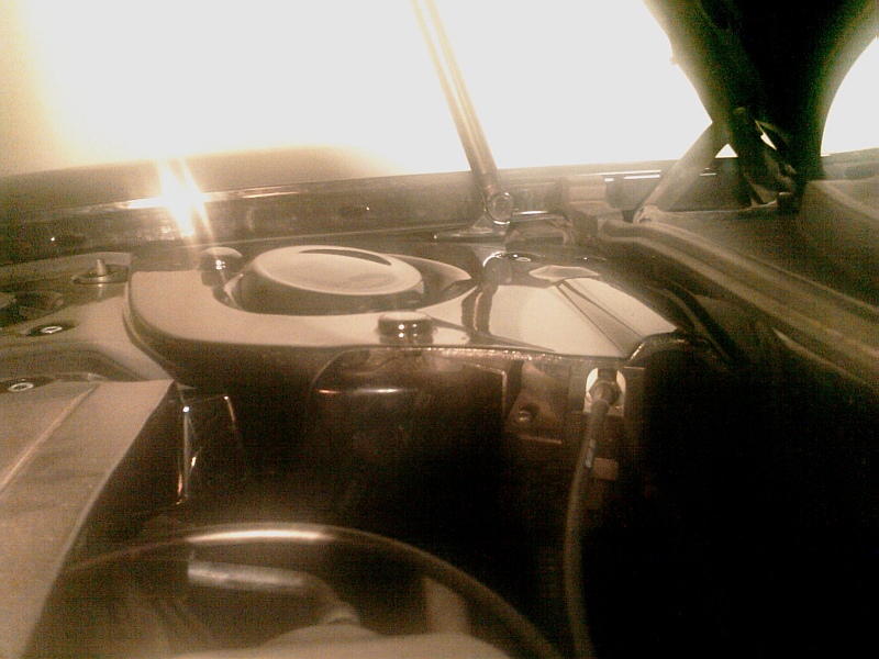 IMAG0181.jpg