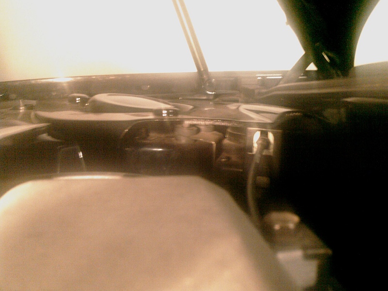 IMAG0182.jpg