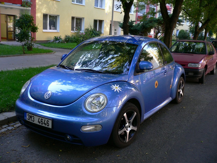 beetle.jpg