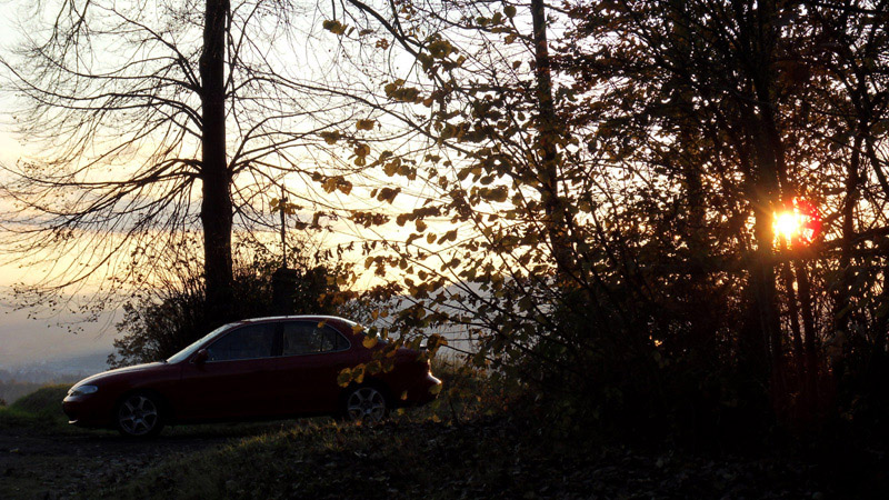 SDC11008.JPG