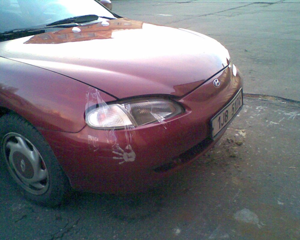 lantra1.jpg