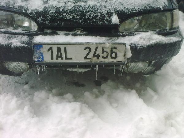 10012010395.jpg
