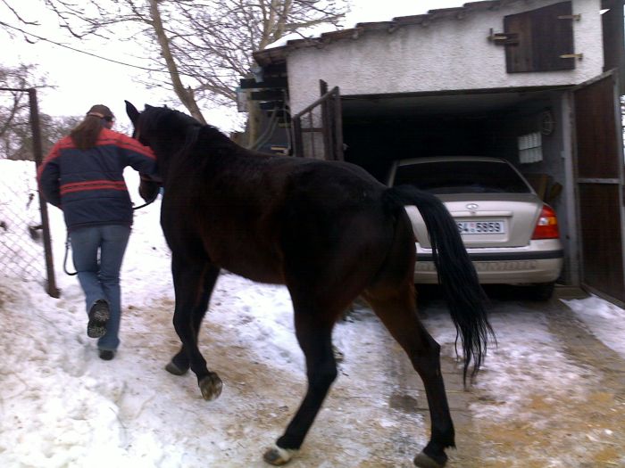 22012010066a.jpg