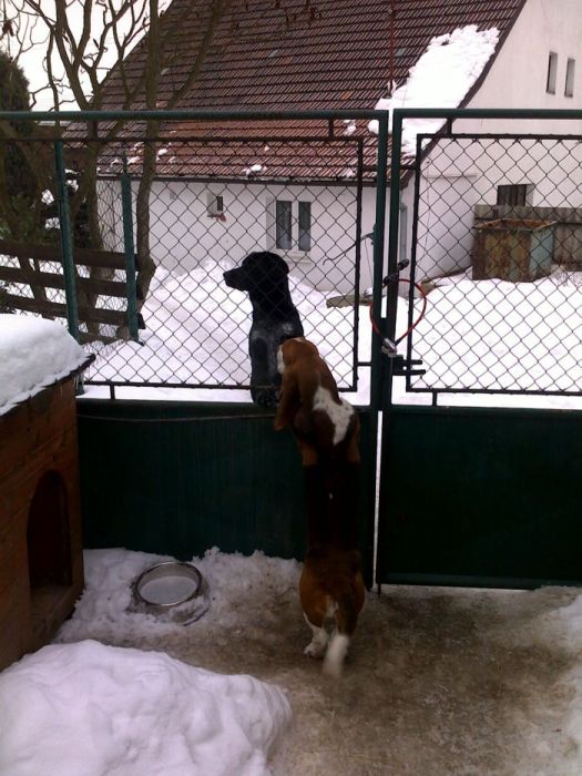 22012010067a.jpg