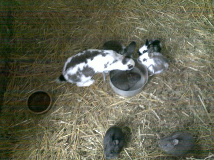22012010074a.jpg
