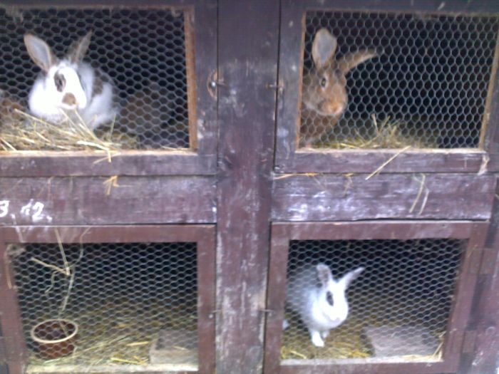 22012010073a.jpg