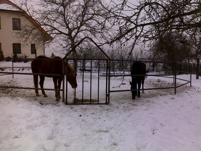 22012010070a.jpg
