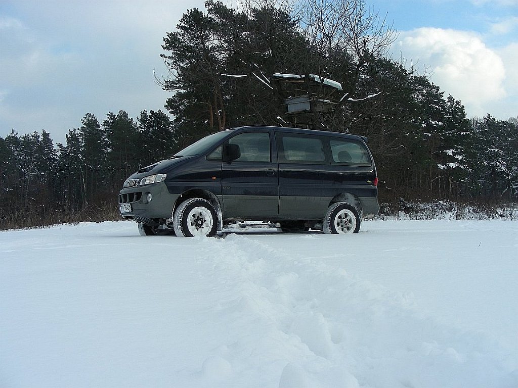 brezina4.jpg