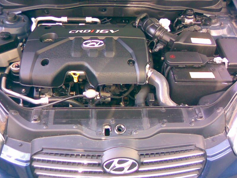 46f7810e4dddd.jpg