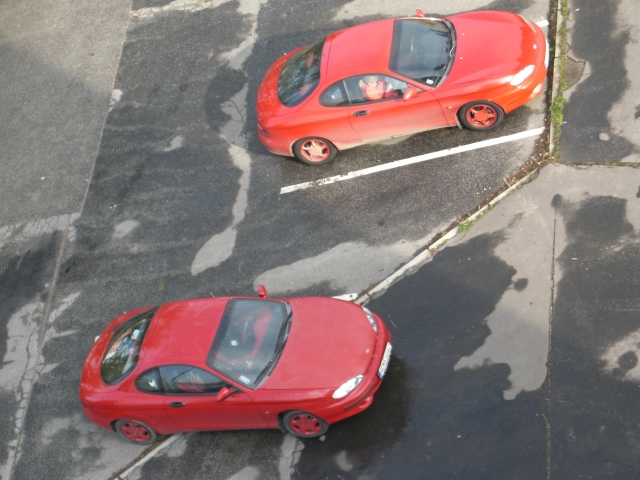 Takto toto som fotil z okna.Moje dvojča.