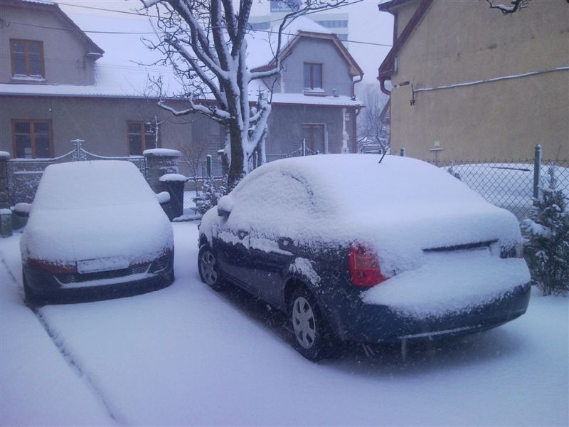 100315_071811.jpg