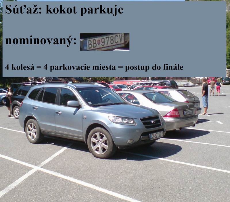 profik.JPG