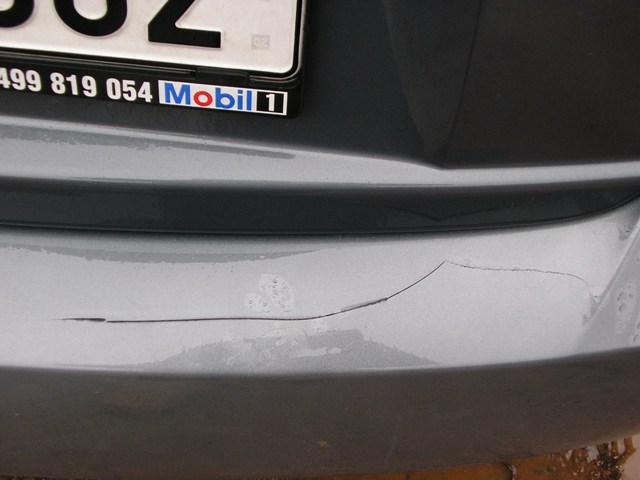 P1011362.JPG