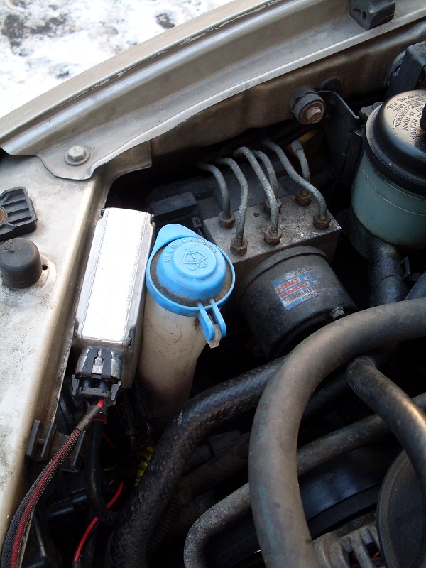 SDC10280 – kopie.JPG