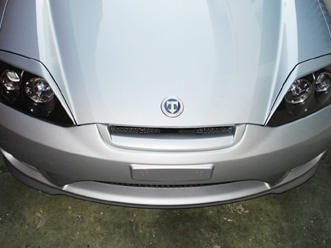 tiburon05grillsample1.jpg