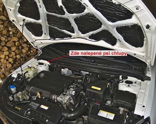 Na toto místo jsem nalepil psí chlupy - použil jsem oboustrannou lepicí destičku, která se dává do květináčů, aby mušky neotravovaly...