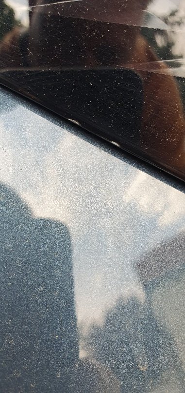 20230704_152435.jpg